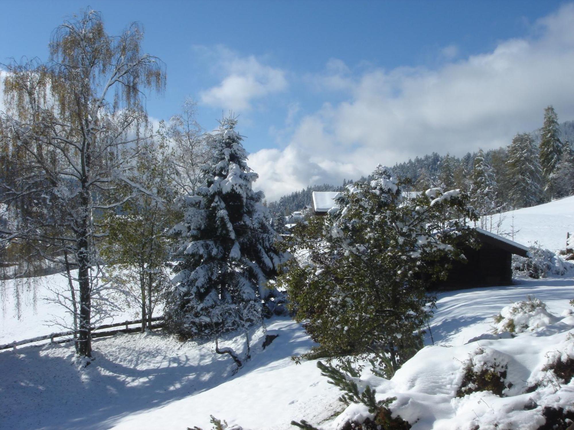 Landhaus Frenes Apartments Seefeld in Tirol Esterno foto